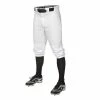 EASTON Pro + Knicker Men's Baseball Pants 1 EASTON Pro + Knicker Men's Baseball Pants -pants Shop pro knicker mens baseball pants